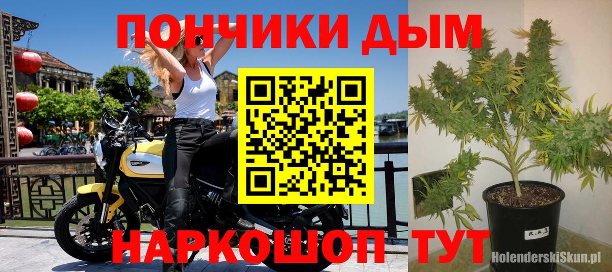 Бошки Шишки VHQ  Бошки Шишки MAZAR  МАРИХУАНА гибрид  Семилуки  Каннабис семена  Вход с VPN 